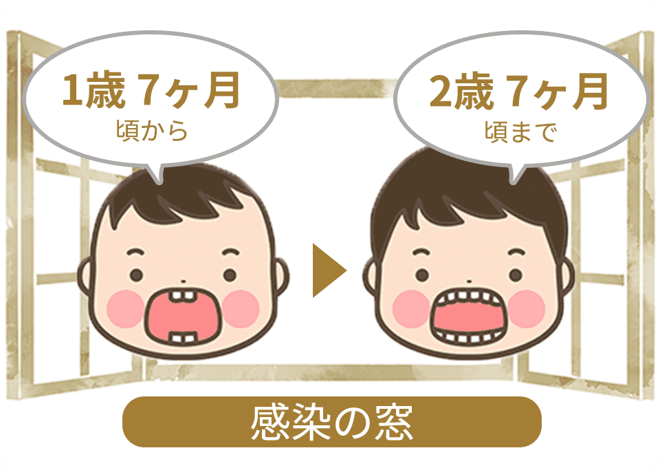 感染のリスクが高まる「感染の窓」が開く1年間は特に注意を