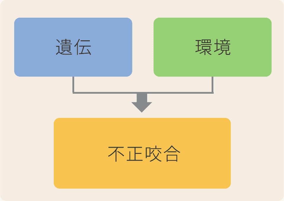 環境因子の場合まずは口腔機能の訓練で改善を目指します